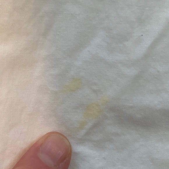 Crate & Barrel Embroidered Pillow Shams (set of 2) - Picture 8 of 9